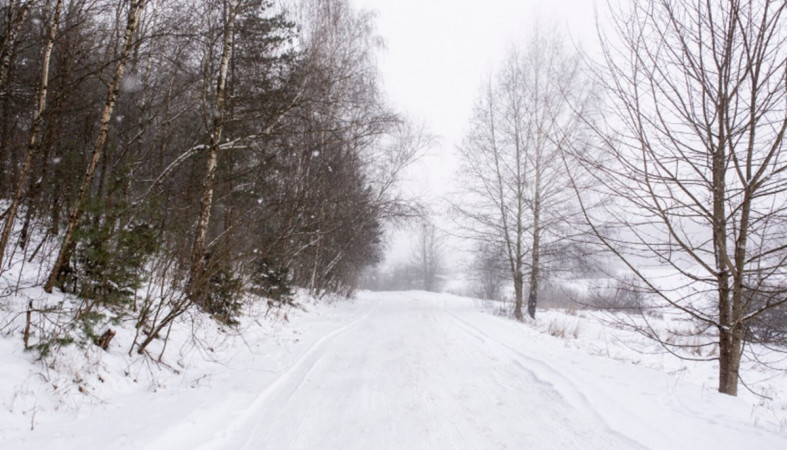 снег на дороге