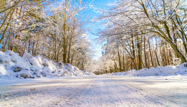 дорога_зима