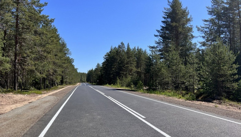 Более 45 километров дорог отремонтировали в Прионежском районе