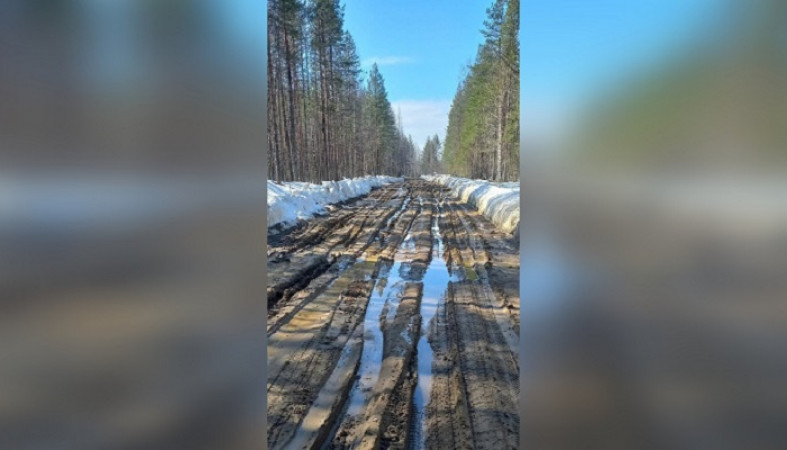 Движение автомобилей по размытой дороге в Карелии ограничили