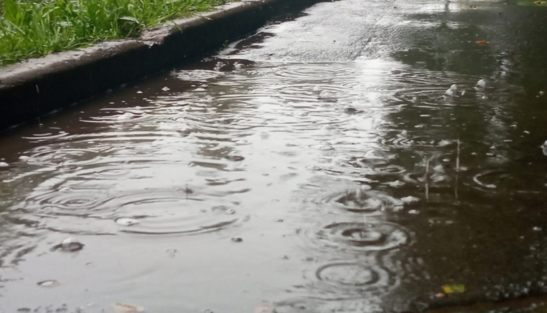 Лужа во время дождя