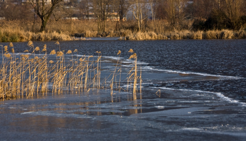 река_весна_осень