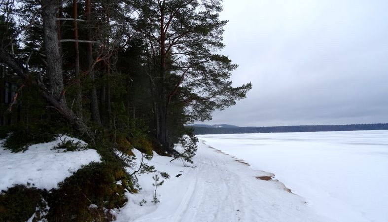 «Вместо пляжа будет помойка»