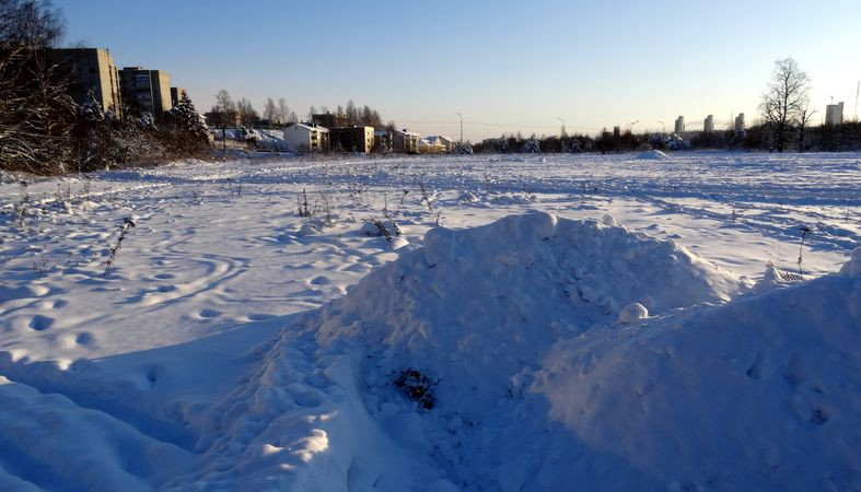 Спортивное общество «Динамо» пожертвовало бывшим стадионом