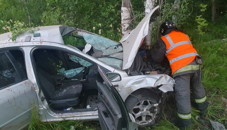 Автомобиль сбил лося на трассе под Петрозаводском