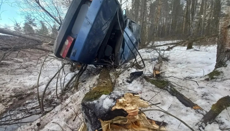 Смертельное ДТП Смертельное ДТП
