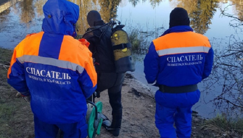 Авто с уходившими от погони ГИБДД детьми упало в реку, трое погибли