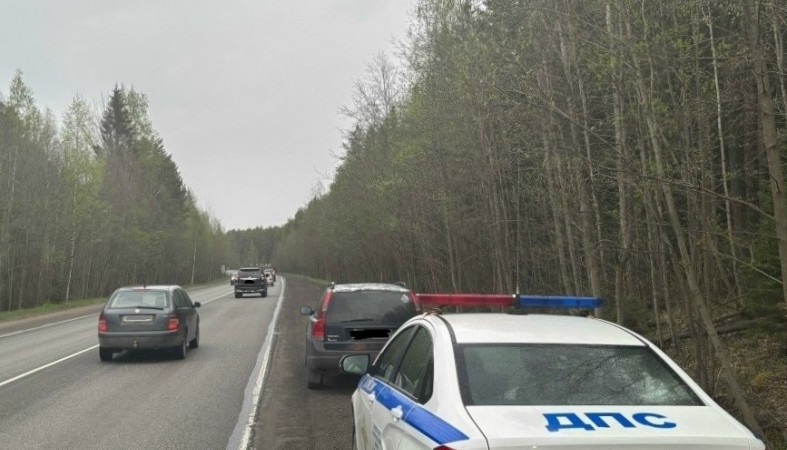 рейд_полиция