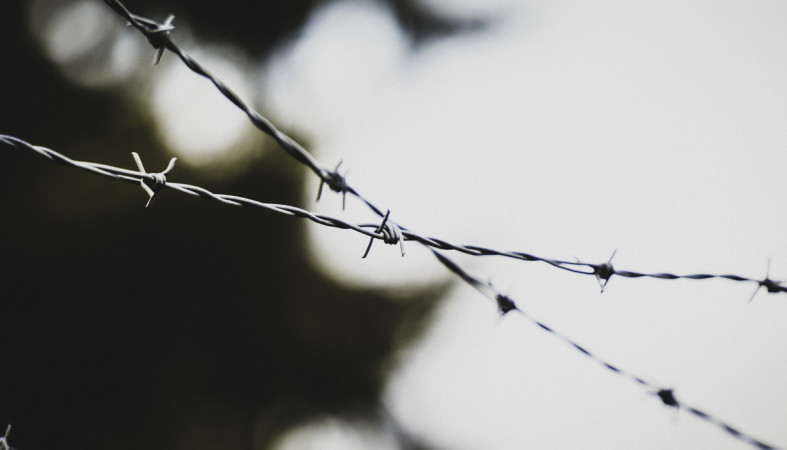 граница_проволока