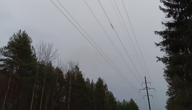 провода_электричество