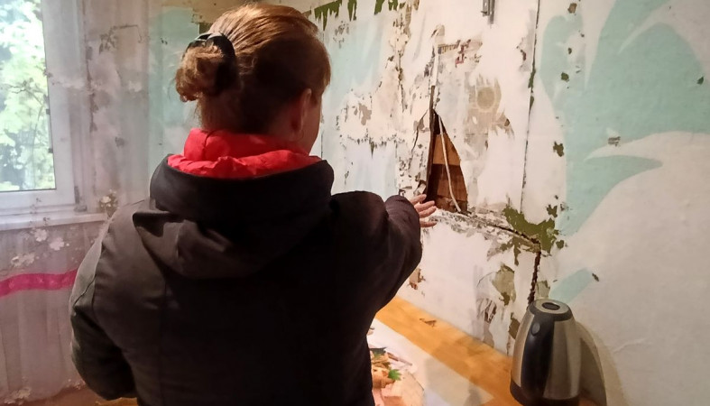Елена Мастафанова