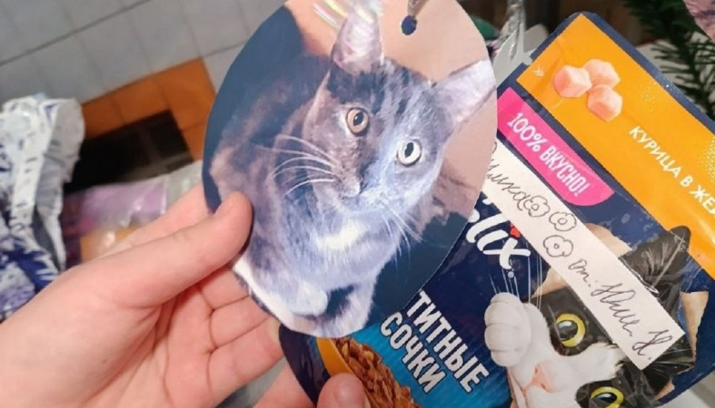 подарки для приюта животных