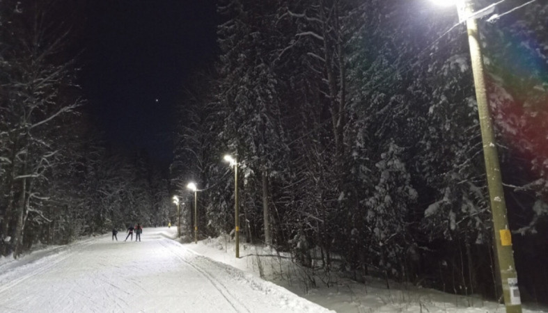 лыжи_Фонтаны_лыжня