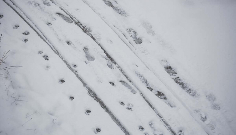 снегопад_следы_на_снегу