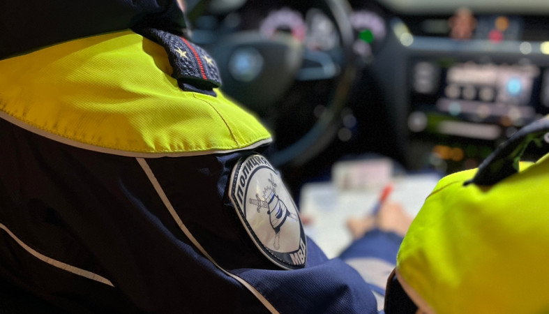 полиция_ДПС