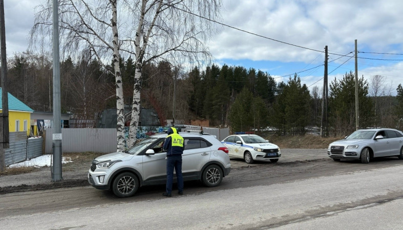 рейд_дорога_гаи