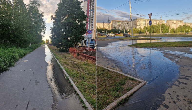фекалии