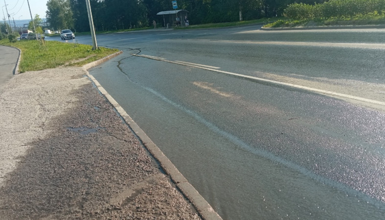 вонючий ручей