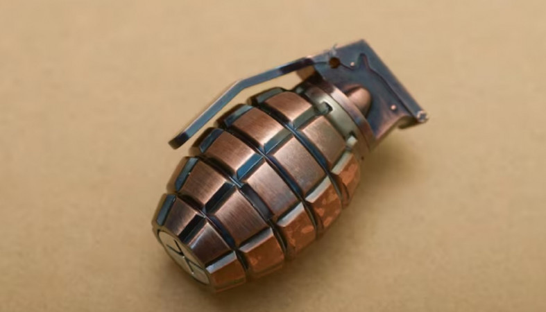 Граната на столе Граната на столе