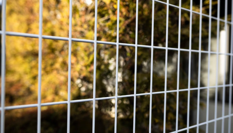 забор забор