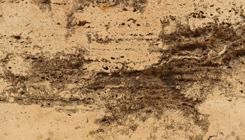 коричневая грязь