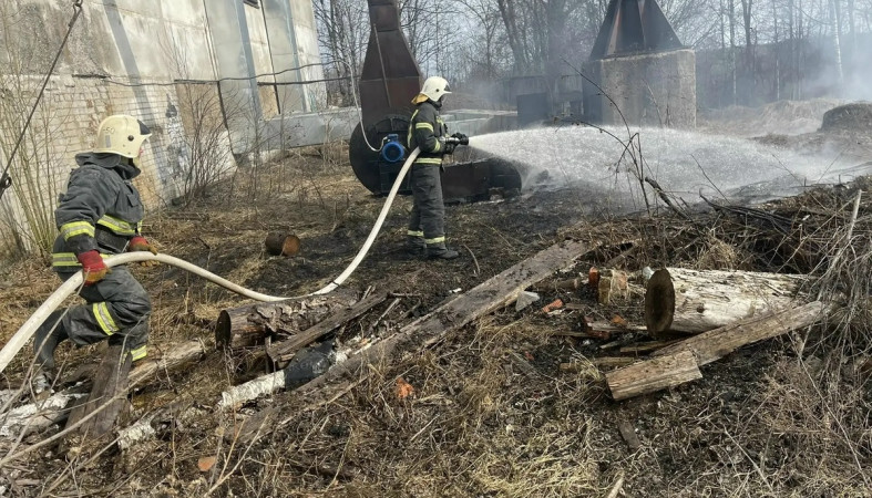 пожар_сухая_трава