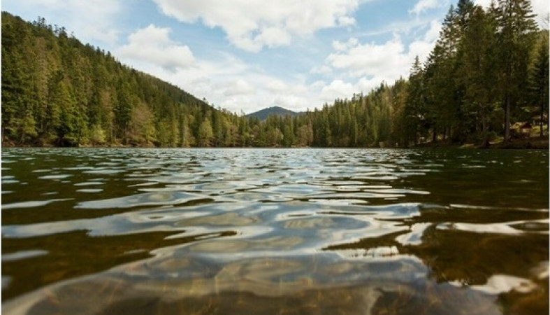 река_природа