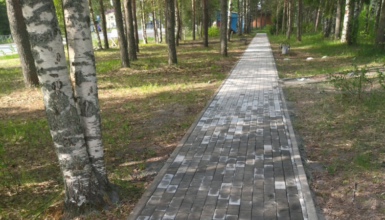 дорожка из тротуарной плитки
