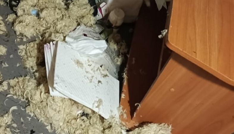 Пожар в Поросозере