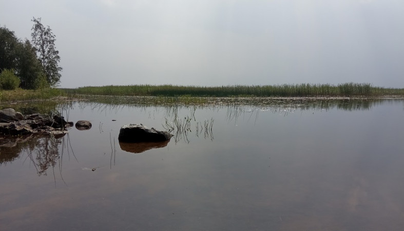 В Карелии будет тепло, но не без дождика