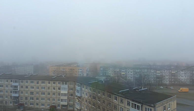 туман_утро_весна_осень