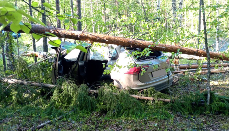 Аварийный автомобиль в кювете.