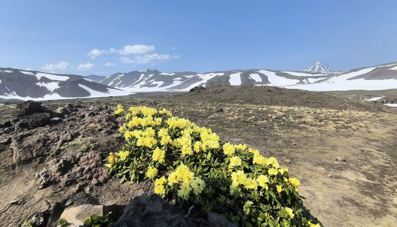 Камчатка