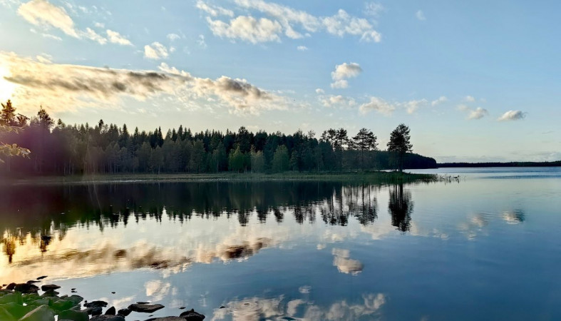 Карелия_лес_озеро_наше