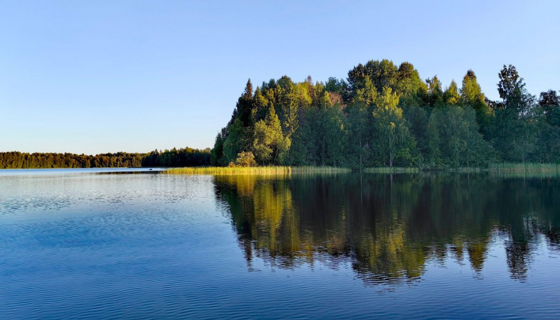 озеро, лес, Карелия