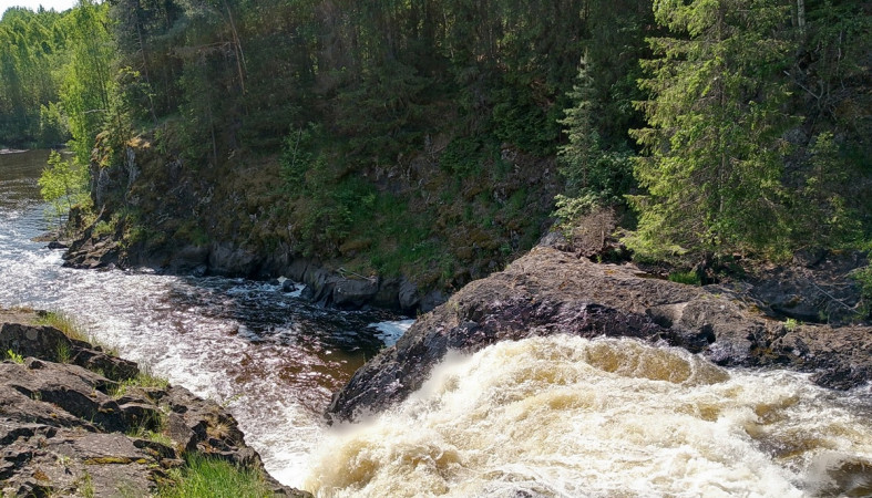 Кивач