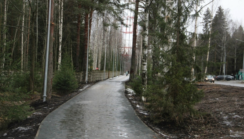 аллея_дорога