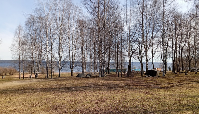 весенний день