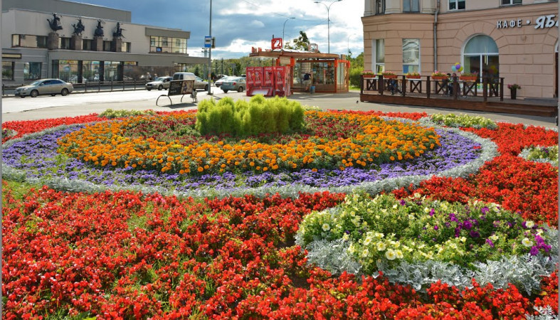 Акция «Цветы – любимому городу» пройдет в Петрозаводске