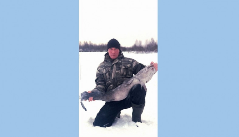 рыбак поймал налима