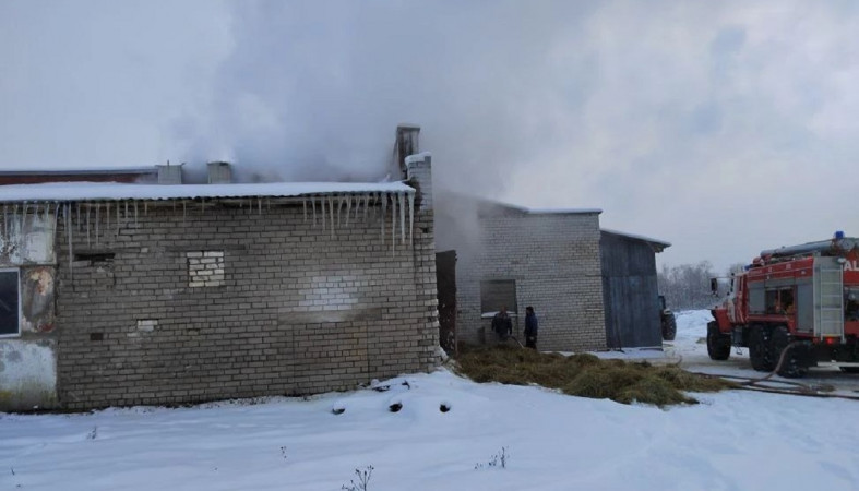 Пожар в Пряже