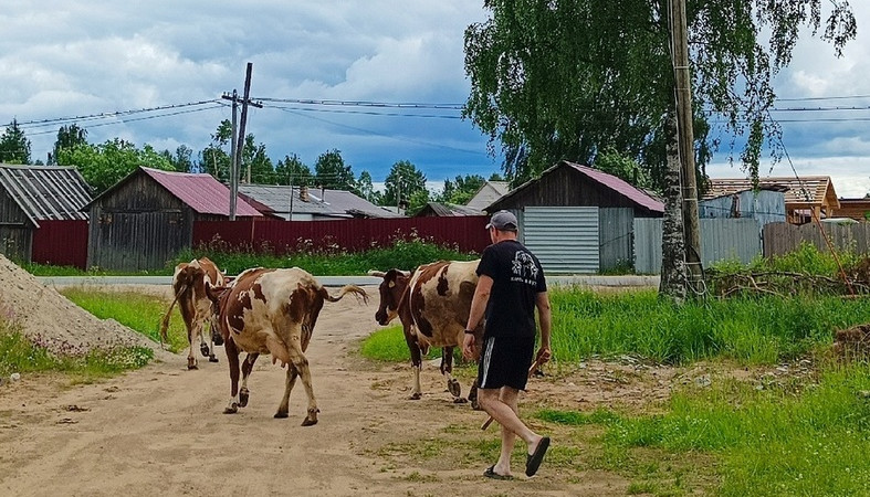 Редкие кадры сельских улиц запечатлел городской житель