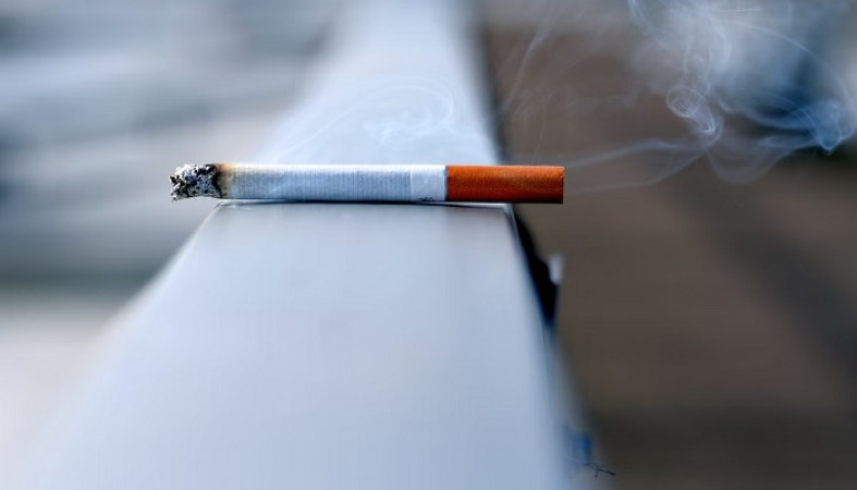 Колыхматова намерена ввести дополнительные ограничения для курильщиков