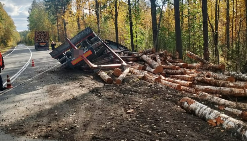 Опрокинувшийся лесовоз