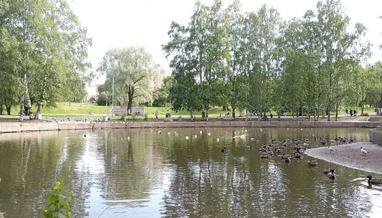 Лето в Петрозаводске