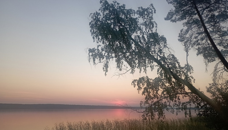 Лето на озере