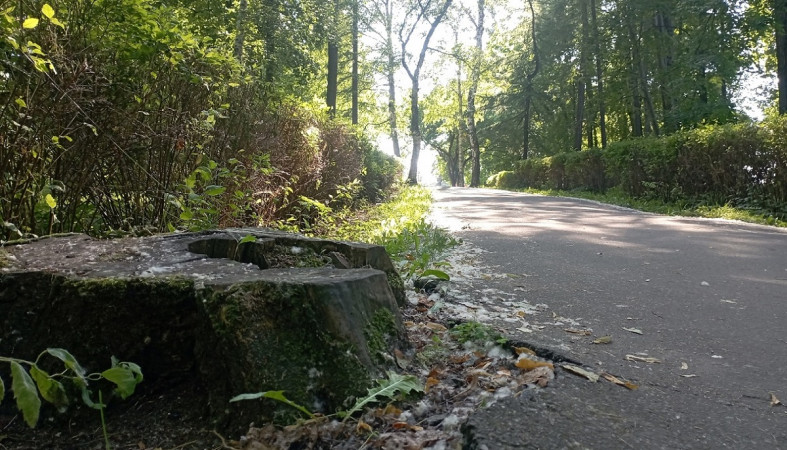 Лето в Петрозаводске