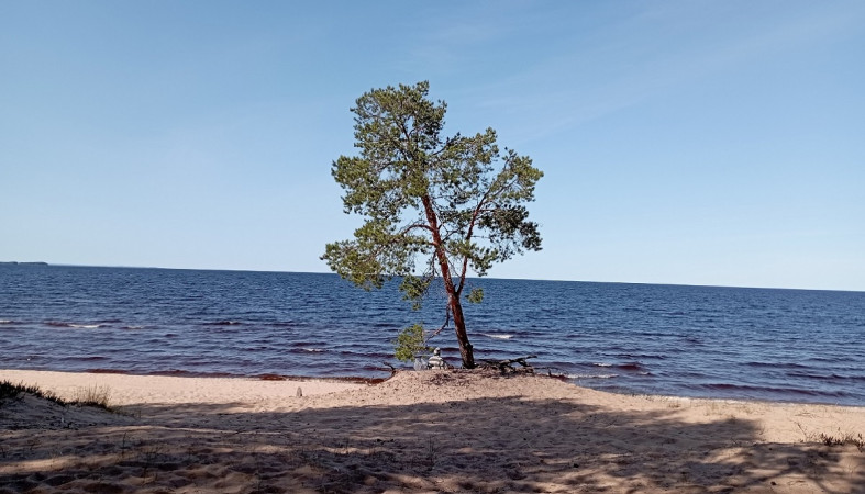Лето на озере