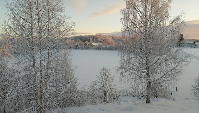 снег_зима_мороз