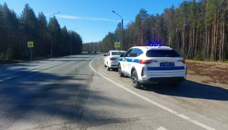 дорога_гаи_рейд